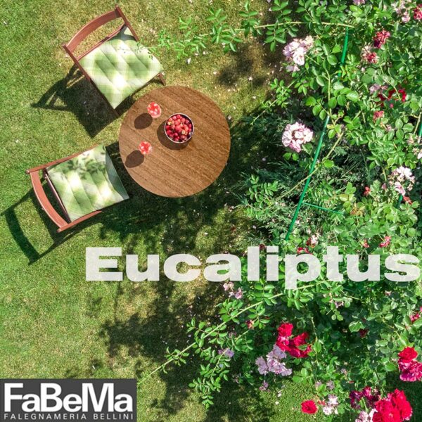 EUCALIPTUS-con-logo